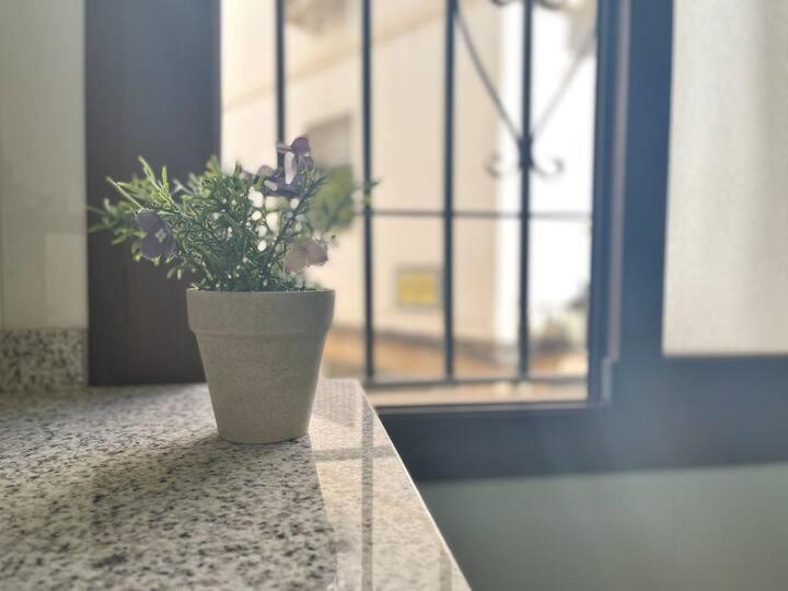 Ferienwohnung Esencia Historica En Mezquita Córdoba Exterior foto